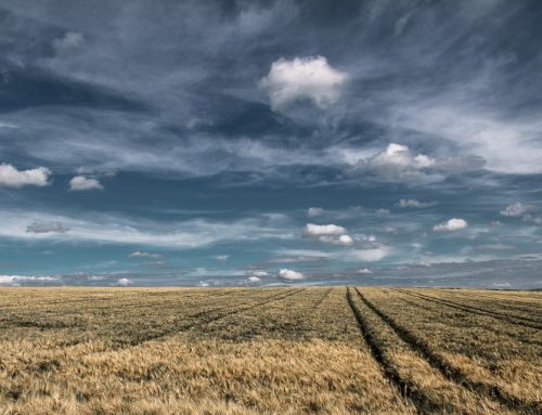 Les questions à vous poser avant l’achat d’un terrain