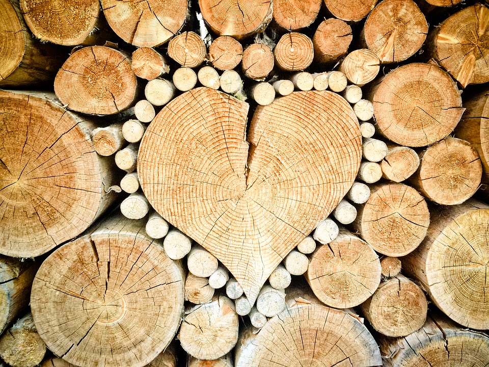 maison en bois saine