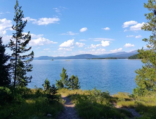 Propriétaire de camping, avez-vous pensé au chalet bois ?